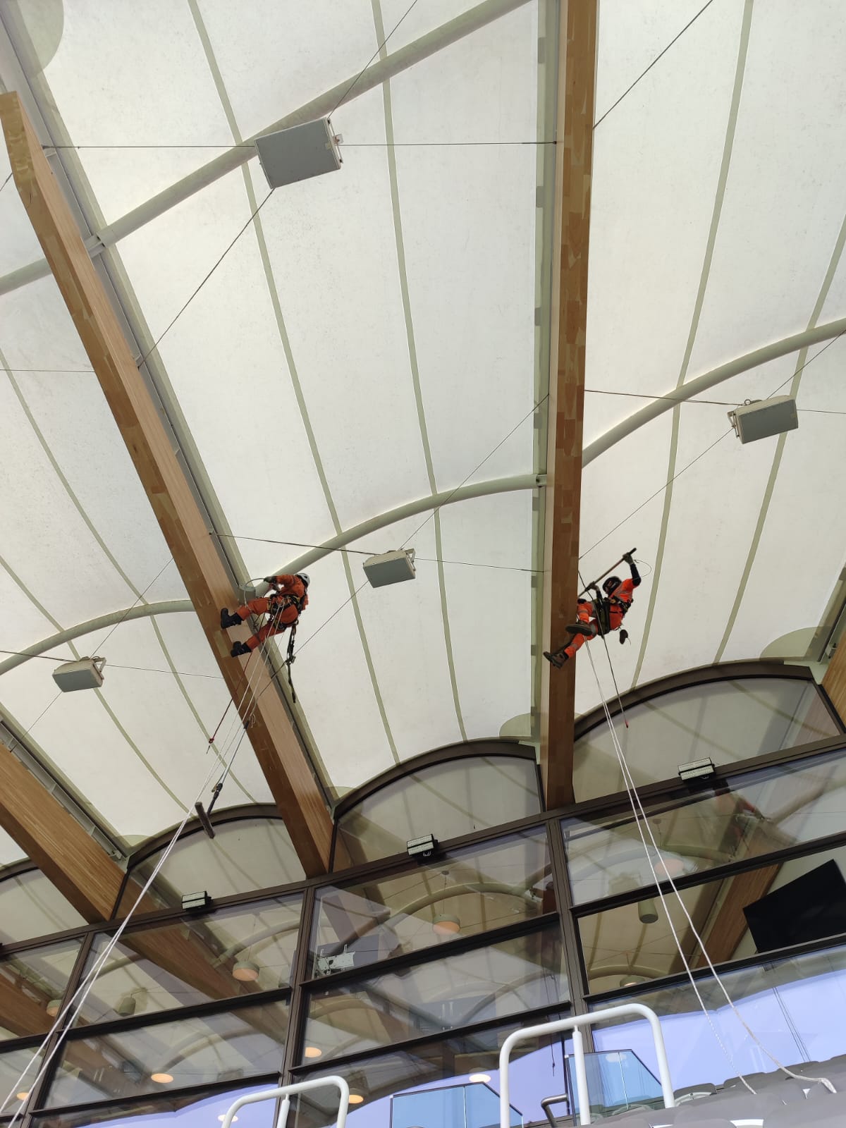 Lord's Cricket Ground workers on the roof